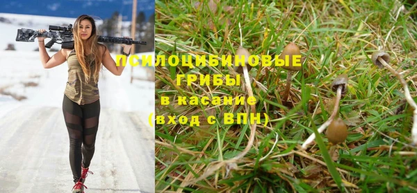 Альфа ПВП Семёнов