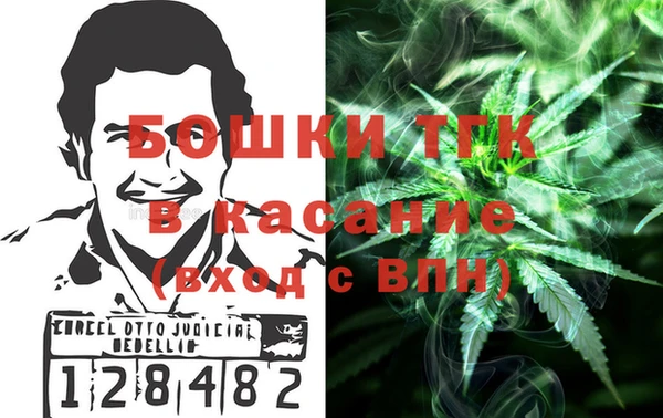 стаф Белокуриха