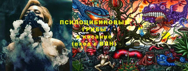 стаф Белокуриха